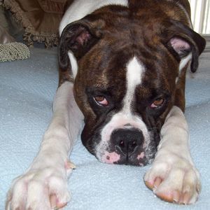 Meet your Posher, Jan